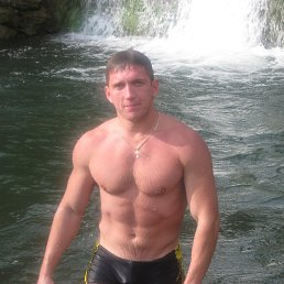 ���� ��������, ����������, 43 ���� - ��������� 12 ���� 2013