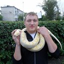  ~~, , 35  -  26  2011