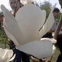 ���� ������ ��������, ��������, 27 ��� - ��������� 28 ������ 2011 � ������ ���������� � �������� ������������ ���