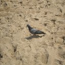 ���� �������, ��������, 55 ��� - ��������� 25 ������� 2012 � ������ ���� ����������