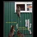 ���� ������, ��������, 32 ���� - ��������� 14 ��� 2010 � ������ ��������������