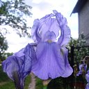 ���� ����, �������� ������ - ��������� 8 �������� 2010 � ������ ������� ��������....�