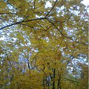 ���� �������, ���������, 55 ��� - ��������� 16 ������ 2011 � ������ ���� ����������