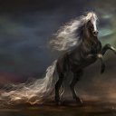 ���� ����, ��������, 37 ��� - ��������� 28 ������ 2009 � ������ ������� ������