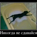 ���� ������, �����-��������� - ��������� 25 ���� 2013 � ������ ������� �������