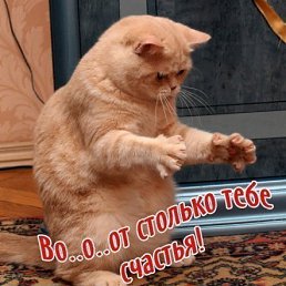 ���� ����, ����, 65 ��� - ��������� 5 ��� 2011