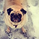 ���� Zermi, ������, 39 ��� - ��������� 9 ����� 2013 � ������ ���� ����������