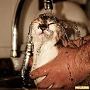 ���� ������, ����������, 40 ��� - ��������� 25 ����� 2010 � ������ �����������