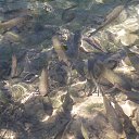 ���� Toryst, �����-���������, 53 ���� - ��������� 21 ����� 2010 � ������ ���������� ��� (���������� ����� ���������� � ��������)�