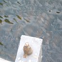 ���� �����, �������, 56 ��� - ��������� 25 ������ 2010