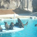 ���� ����, ������, 42 ���� - ��������� 10 ������� 2010 � ������ ���� �������