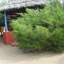  , , 60  -  15  2009    3