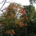 ���� ���������, �����-��������� - ��������� 10 ������ 2009 � ������ �������� ����...�