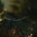 ���� ������, ������, 60 ��� - ��������� 6 ������� 2012 � ������ �������