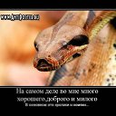 ���� ������, ��������, 58 ��� - ��������� 1 ������� 2011 � ������ �������