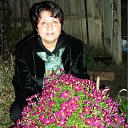 ���� ������, �����-���������, 56 ��� - ��������� 29 ���� 2012