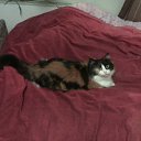 ��� ����� ������) �� ������� �����