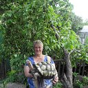 ���� ������, ���������� - ��������� 17 ���� 2013 � ������ ���� ����������