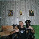 ���� �������� �����, ��������, 41 ��� - ��������� 3 ���� 2013 � ������ ���� ����������