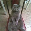 ���� ������, ������ - ��������� 25 ������ 2011 � ������ ���� ����������