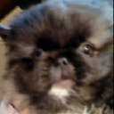 ���� �������, ������, 54 ���� - ��������� 27 ��� 2012 � ������ �������