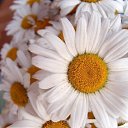 ���� Tatiana, ������, 49 ��� - ��������� 10 ��� 2013 � ������ ������ ��������