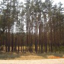 ���� �����, ������������, 50 ��� - ��������� 5 �������� 2010 � ������ �2010�