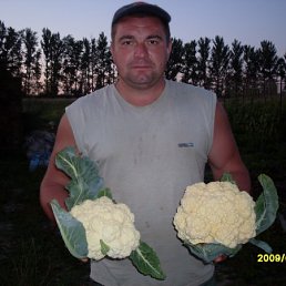 ��������, ���������, 58 ���