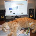 ���� �������, �����, 57 ��� - ��������� 1 ���� 2013 � ������ ����� ��� ������������