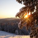 ���� �������, ������-��-����, 77 ��� - ��������� 4 ������ 2012 � ������ ���� ����������