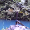  , , 66  -  22  2011   PetLove