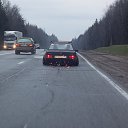 ���� �������, �����, 28 ��� - ��������� 9 ������ 2013 � ������ ���� ����������