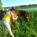 ���� �������, ���������, 38 ��� - ��������� 4 ���� 2012 � ������ ���� ����������