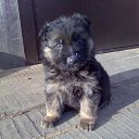 ���� �������, ������������, 53 ���� - ��������� 2 ����� 2012