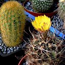 ���� ������, ������, 69 ��� - ��������� 5 ������ 2013 � ������ ���� ��������� ����������