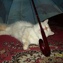  Penelopaxxx,  -  4  2011    