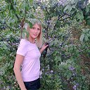 ���� �����, ���������, 41 ��� - ��������� 24 ���� 2013