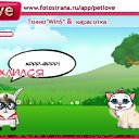  , , 41  -  1  2010   PetLove