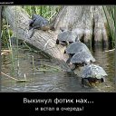 ���� ���������, ������������� - ��������� 16 ������ 2012 � ������ ��������