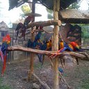 ���� ��������, ���������, 38 ��� - ��������� 24 ������� 2012 � ������ ���� ���