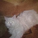 ���� ����, �����, 28 ��� - ��������� 19 ������ 2010 � ������ ���� ����������