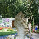 ���� ������, ������, 43 ���� - ��������� 20 ���� 2013 � ������ �������