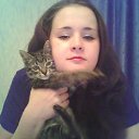 ���� ������-������� ��� ���� �����, ��������, 85 ��� - ��������� 26 �������� 2009 � ������ ���� ������ � ������ web-��