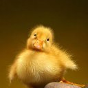 ���� ����� - ���������� ��������!!!, �����������, 56 ��� - ��������� 17 ������� 2010 � ������ �������