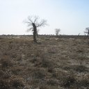 ���� Iogann, ������ - ��������� 7 ������� 2012 � ������ ���� ����������