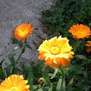 ���� ������, ������������ - ��������� 19 ��� 2012 � ������ ���� ����������