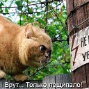   D* Tuta,  -  10  2009     