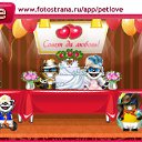  , -, 49  -  20  2010   PetLove