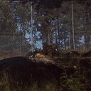 ���� ������, �����-���������, 60 ��� - ��������� 27 ������� 2009 � ������ �������� 2009�