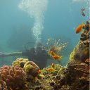 ���� ����, ��������, 45 ��� - ��������� 12 ������ 2012